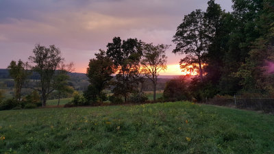 20170927_184443.jpg