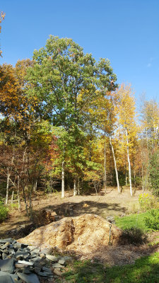 20171022_114122.jpg