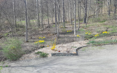 20180504_160307.jpg