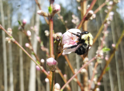 20180504_163935.jpg