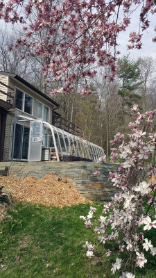 20180504_164954.jpg
