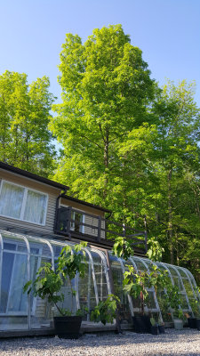 20160528_180707.jpg