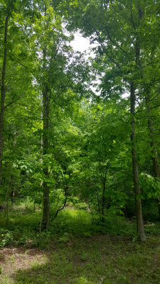 20160604_135421.jpg
