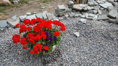 20160716_204040.jpg