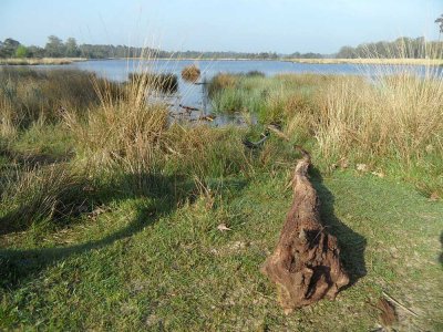 08_boxtel.jpg