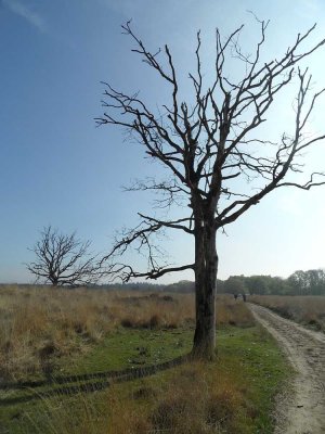 10_boxtel.jpg