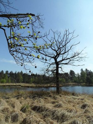 17_boxtel.jpg