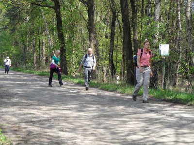 40_boxtel.jpg