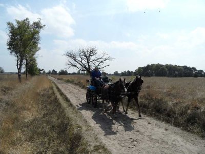 43_boxtel.jpg