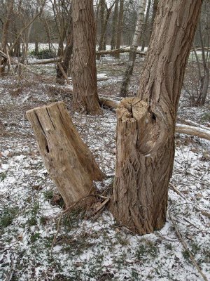 08-dek. wandeltocht.jpg