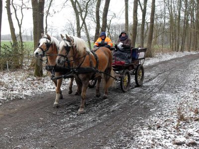 10-dek. wandeltocht.jpg