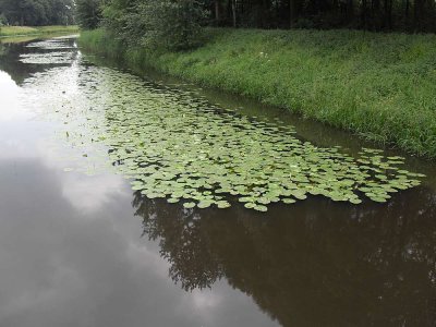 28_stan-meeuwsentocht.jpg