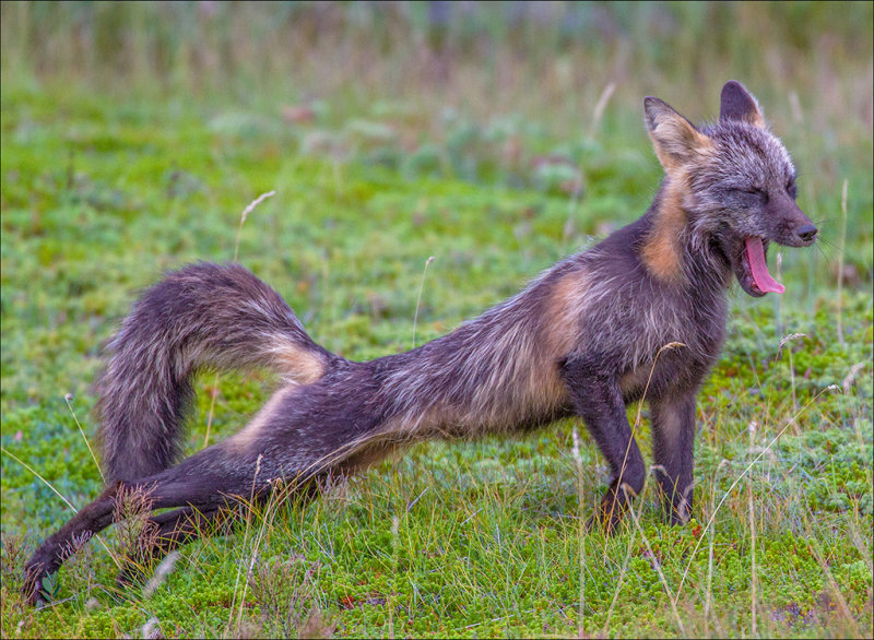 Streching_MG_1709.jpg