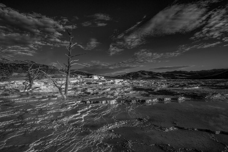 Mammoth Springs, Yellowstone _MG_4532.jpg