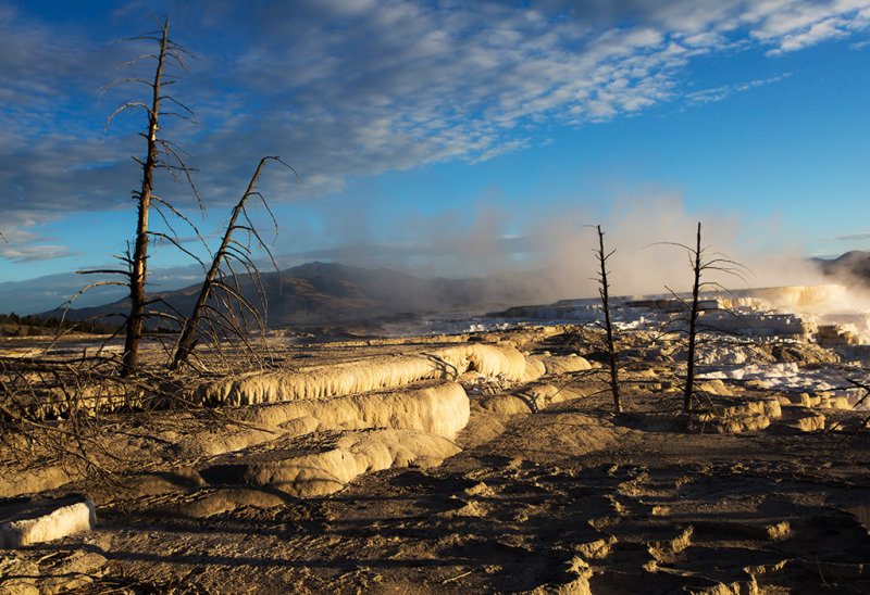 _MG_2322.jpg