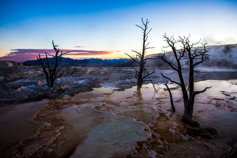 _MG_4460.jpg