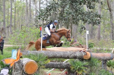 Red Hills Horse Trials 2018-197.jpg