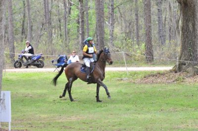 Red Hills Horse Trials 2018-260.jpg