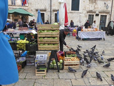 Feeding Pigeons in Gundulic Square Market