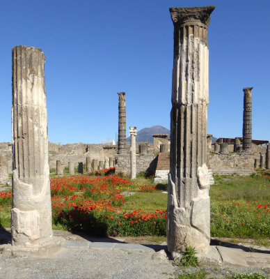 The Temple of Apollo in Pompeii