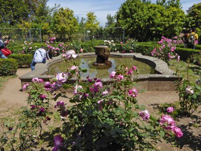 Garden in the Roman Forum