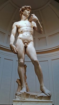 Michelangelo's David (1501-04)