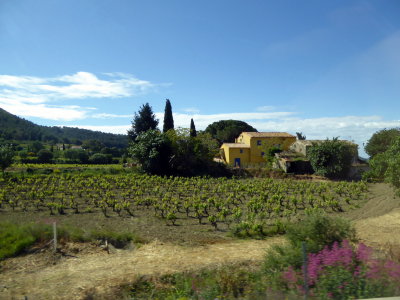 Farming east of Marseille, France