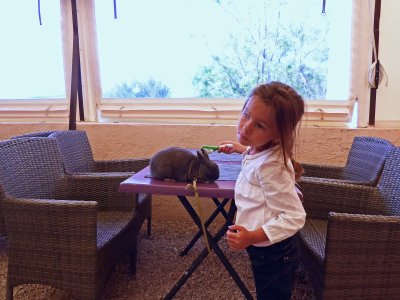 Restaurant Owner's Daughter and her Pet Rabbit in Le Castellet