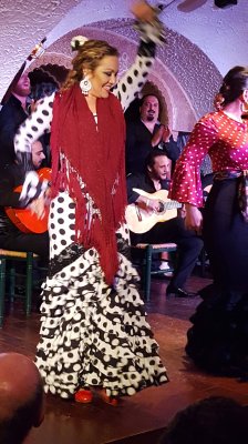 Traditional Flamenco in Barcelona