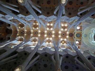 One section of the Ceiling in the Sagrada Familia