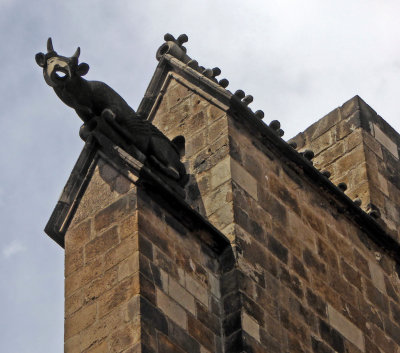 Cow Gargoyle on the Gothic Cathedral of Barcelona