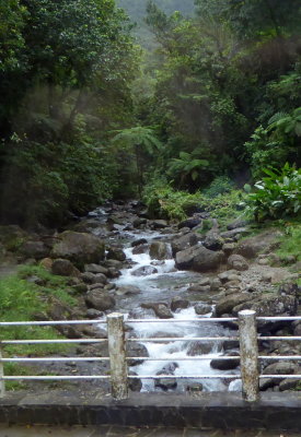 Small River along the Route de la Trace, Martinique