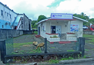 Kitchen Supplies and Goats in Kingstown, St. Vincent