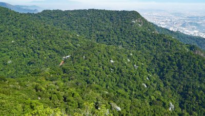 Tijuca National Park is the World's Largest Urban Forest at 8,000 acres