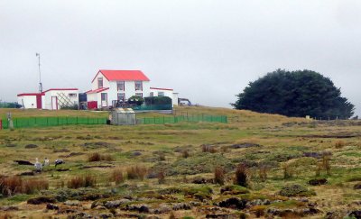 Game Warden's House for Volunteer Point Penguin Colony, East Falkland Island