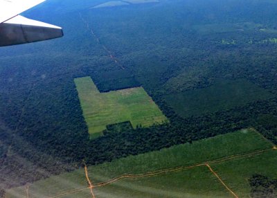 Carving Farmland out of the Rainforest in Argentina