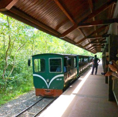 Jungle Train arriving at Garganta Station
