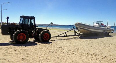 First Look at Our Rigid Inflatable Boat (RIB) in Puerto Madryn, Argentina