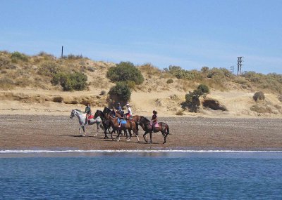 Riding Horses on the Beach along Golfo Nuevo near Puerto Madryn