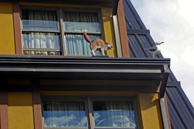 Outside an Apartment in the Bank Building in Ushuaia, Argentina