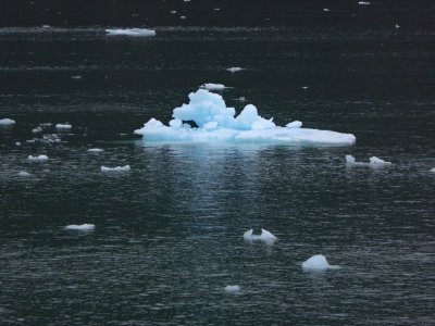 Small chunks of floating ice from the glacier are called Growlers