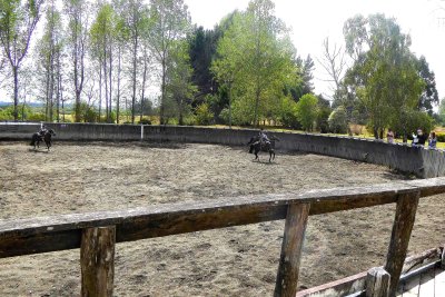 Huasos (Chilean cowboys) doing warm-up drills before the 'Rodeo'
