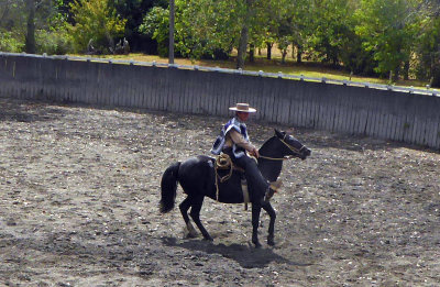 Color of Serape indicates which Team they are on in the Rodeo