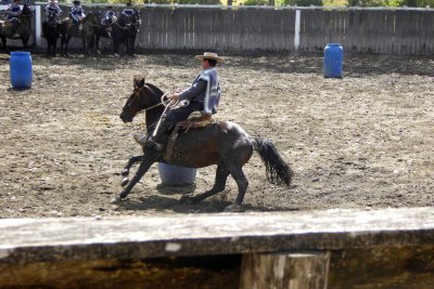 Barrel Racing in Chile is very similar to that of the United States