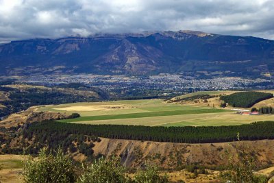 Trees planted as windbreak on the Plateau above Coyhaique, Chile