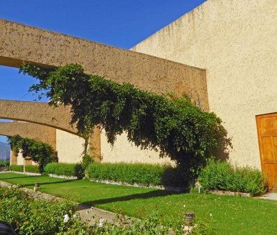 Plants hanging from Arches at William Cole Winery