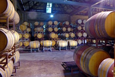 Wine Storage Area
