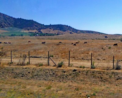 Ranchland near Cartegena, Chile