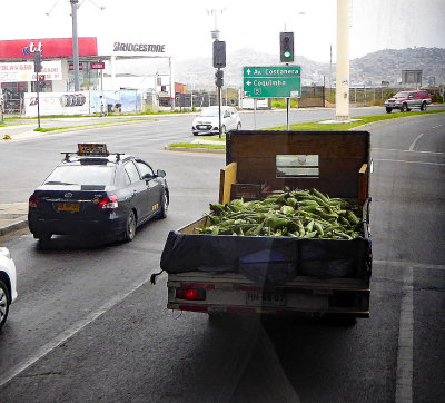 Truckload of Corn in Coquimbo, Chile