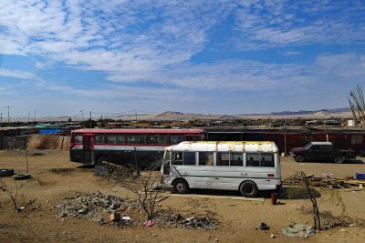 Buses used to take Migrant Workers to the Fields around Pisco, Peru